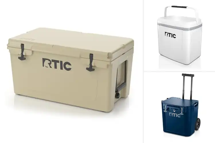 Detailed view of 10 Best Coolers to Keep Food & Drinks Fresh Anywhere