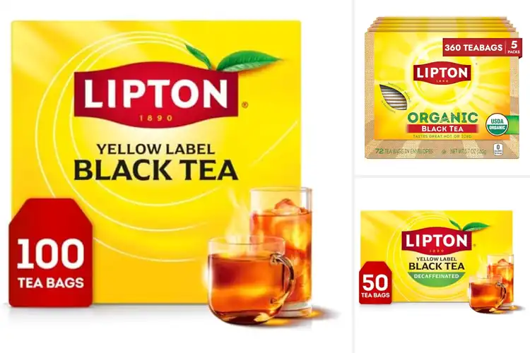 Detailed view of Best Hot Or Iced Tea Bags