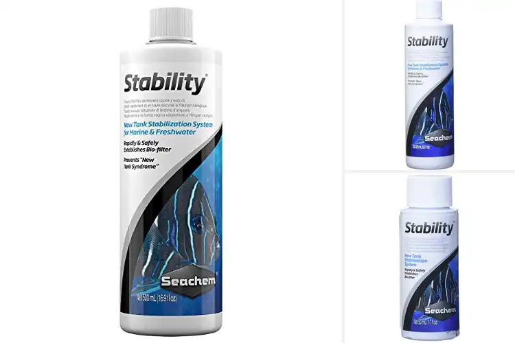 Detailed view of Best Water Tank Stabilizers
